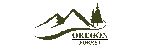 Oregon Forest 奧勒岡森林